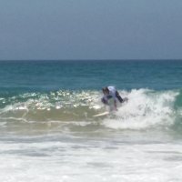 Surf, Bodyboard e Skimboard