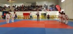 Judo em Palmela